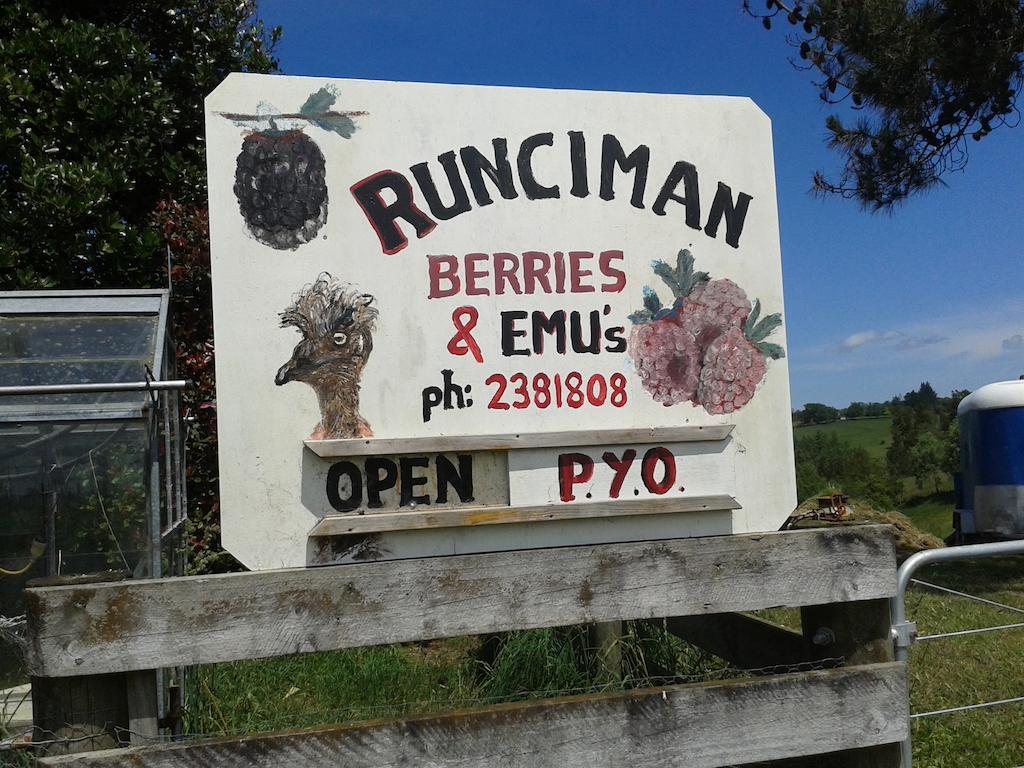 Runciman Berries And Emus B&B Ramarama Eksteriør bilde