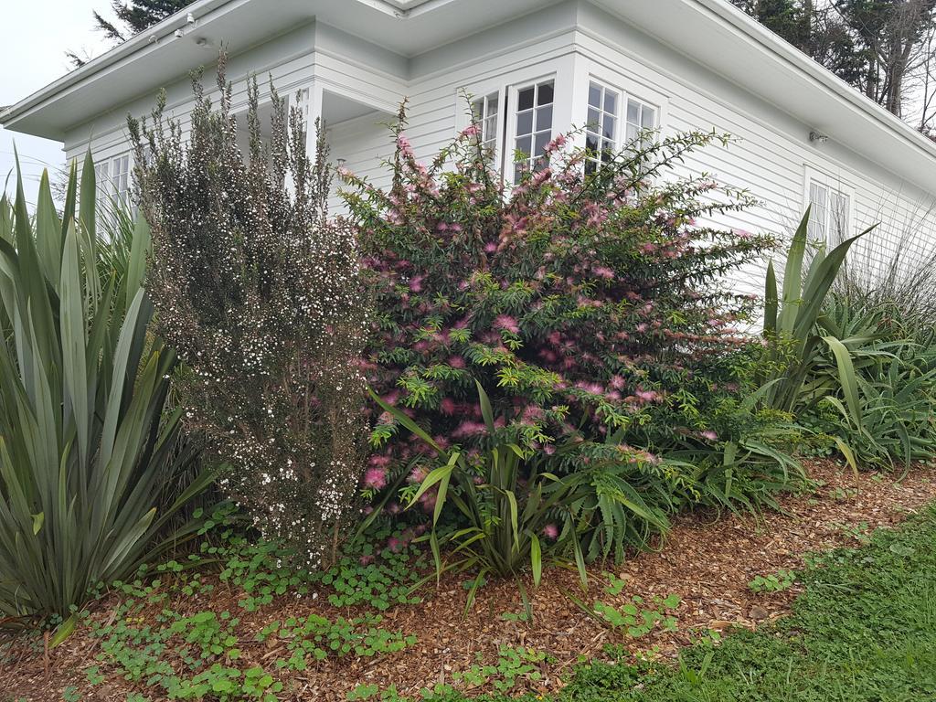 Runciman Berries And Emus B&B Ramarama Rom bilde