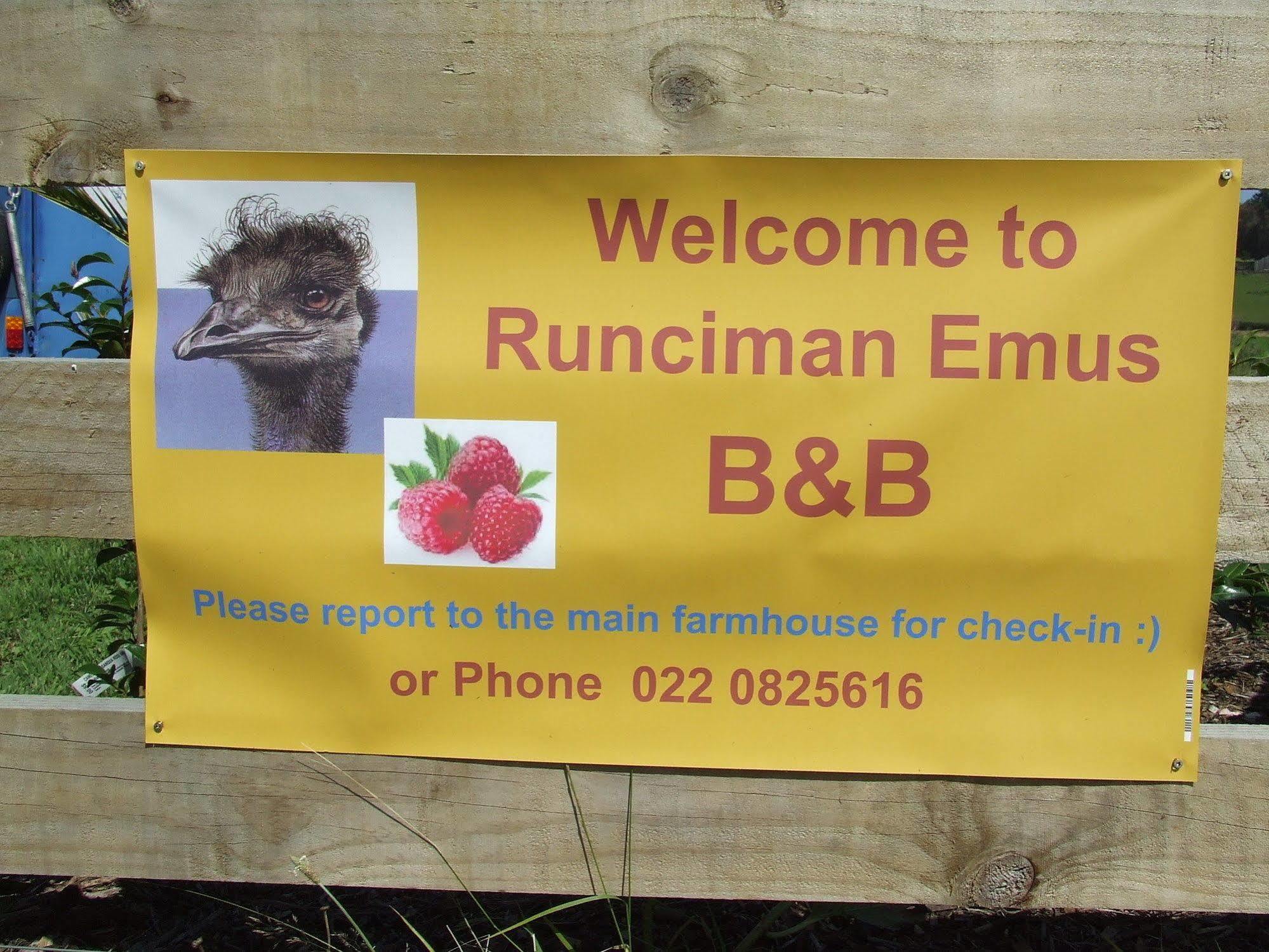 Runciman Berries And Emus B&B Ramarama Eksteriør bilde